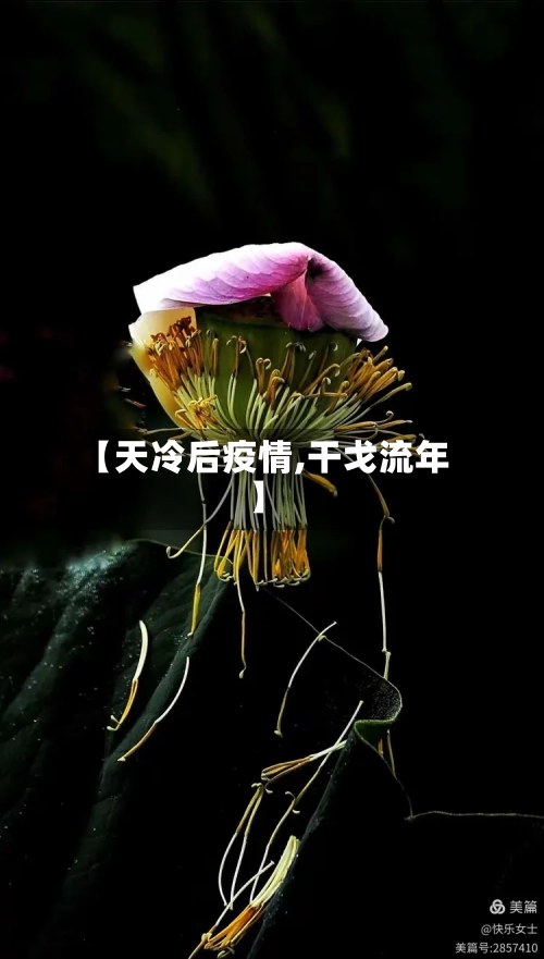 【天冷后疫情,干戈流年】-第1张图片