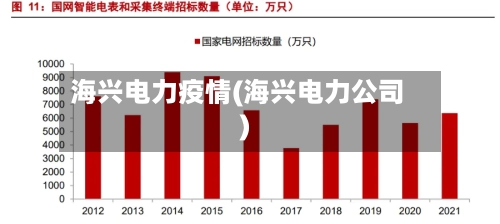 海兴电力疫情(海兴电力公司)-第1张图片