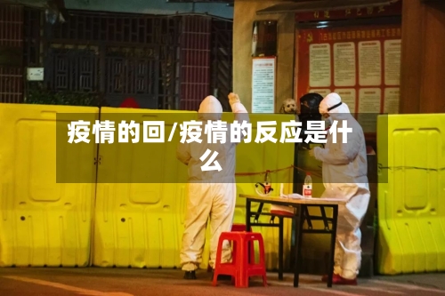 疫情的回/疫情的反应是什么-第1张图片