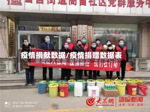 疫情捐献数据/疫情捐赠数据表-第2张图片