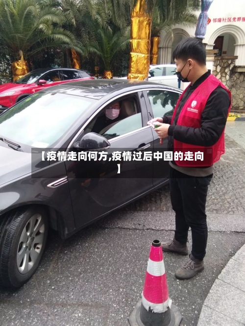 【疫情走向何方,疫情过后中国的走向】-第2张图片