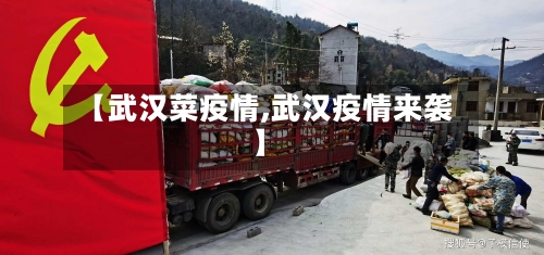 【武汉菜疫情,武汉疫情来袭】-第2张图片