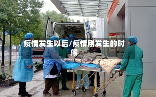 疫情发生以后/疫情刚发生的时候-第1张图片