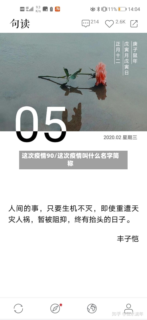 这次疫情90/这次疫情叫什么名字简称-第2张图片