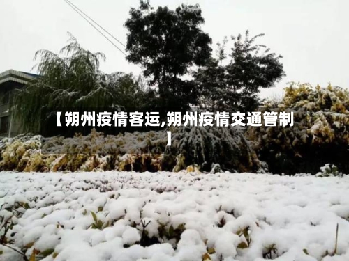 【朔州疫情客运,朔州疫情交通管制】-第3张图片