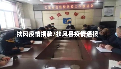 扶风疫情捐款/扶风县疫情通报-第2张图片