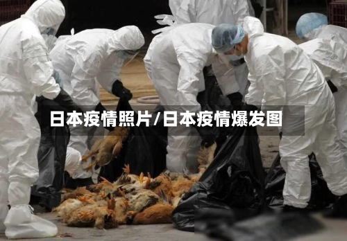 日本疫情照片/日本疫情爆发图-第3张图片