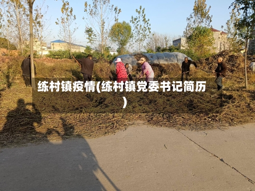 练村镇疫情(练村镇党委书记简历)-第1张图片