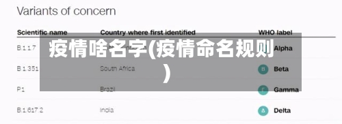 疫情啥名字(疫情命名规则)-第1张图片