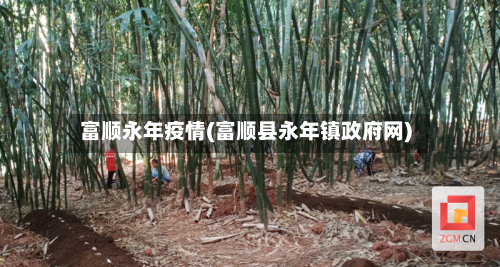 富顺永年疫情(富顺县永年镇政府网)-第2张图片