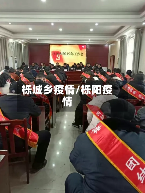 栎城乡疫情/栎阳疫情-第3张图片