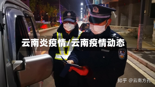 云南炎疫情/云南疫情动态-第2张图片