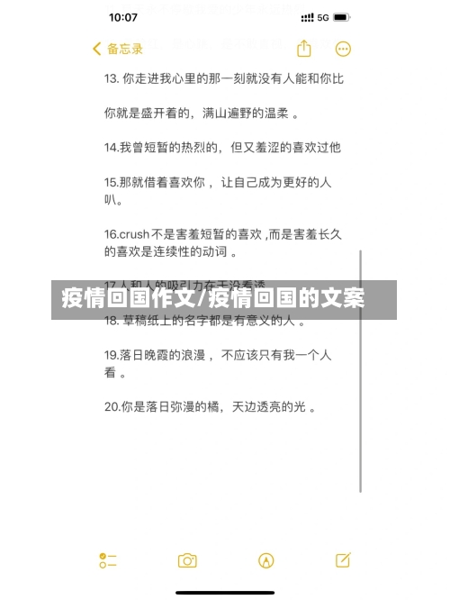 疫情回国作文/疫情回国的文案-第1张图片