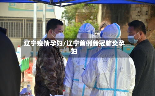 辽宁疫情孕妇/辽宁首例新冠肺炎孕妇-第2张图片