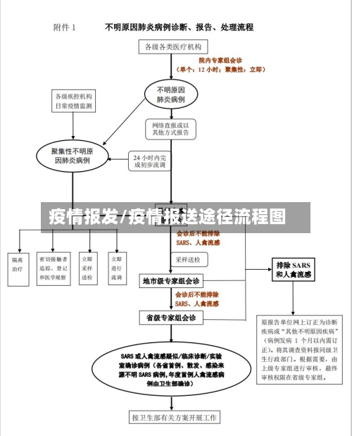 疫情报发/疫情报送途径流程图-第1张图片