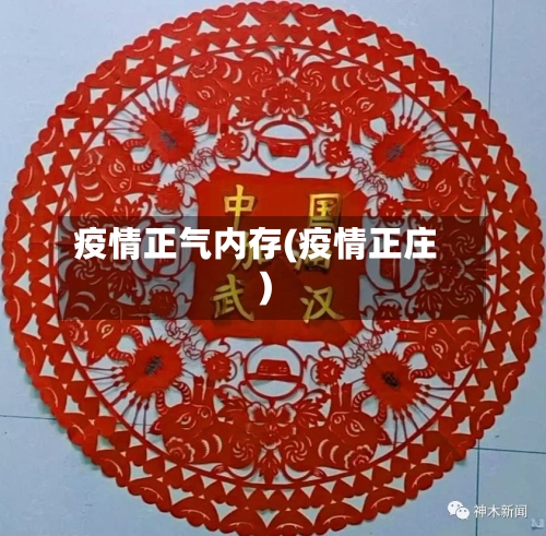 疫情正气内存(疫情正庄)-第2张图片