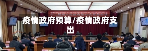 疫情政府预算/疫情政府支出-第1张图片