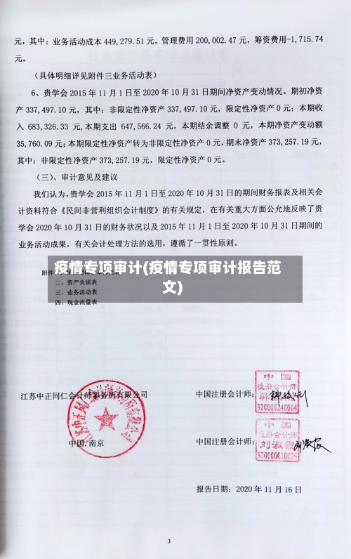 疫情专项审计(疫情专项审计报告范文)-第1张图片