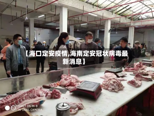 【海口定安疫情,海南定安冠状病毒最新消息】-第2张图片