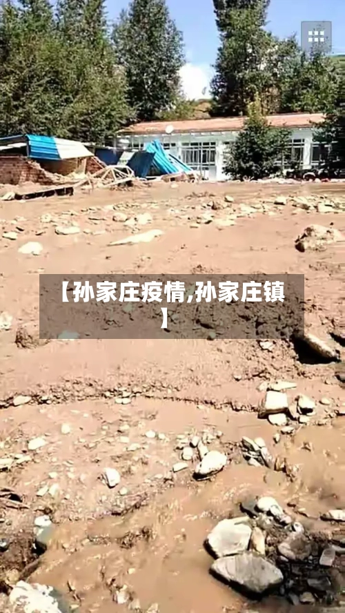 【孙家庄疫情,孙家庄镇】-第2张图片