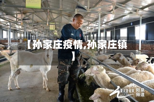 【孙家庄疫情,孙家庄镇】-第3张图片