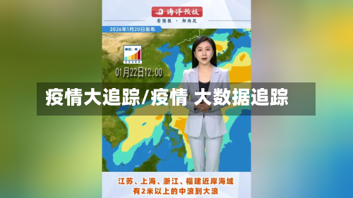 疫情大追踪/疫情 大数据追踪-第2张图片