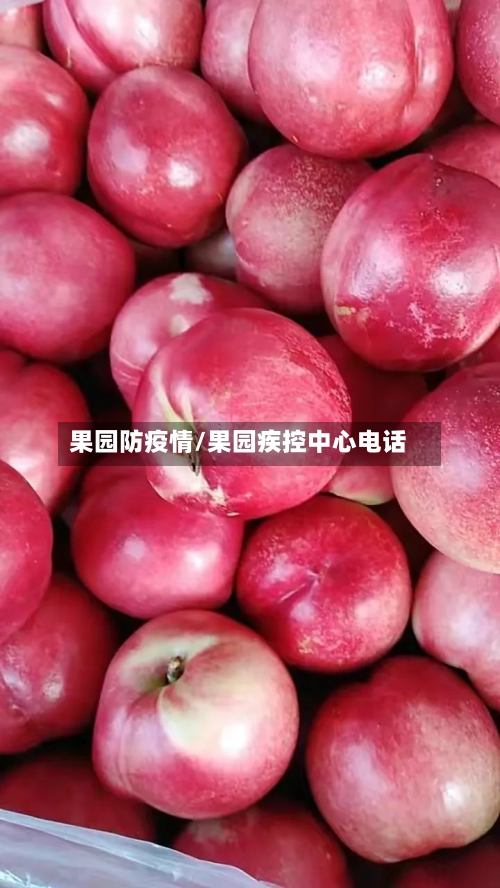 果园防疫情/果园疾控中心电话-第2张图片