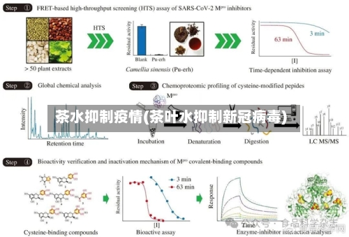 茶水抑制疫情(茶叶水抑制新冠病毒)-第1张图片