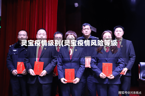 灵宝疫情级别(灵宝疫情风险等级)-第2张图片