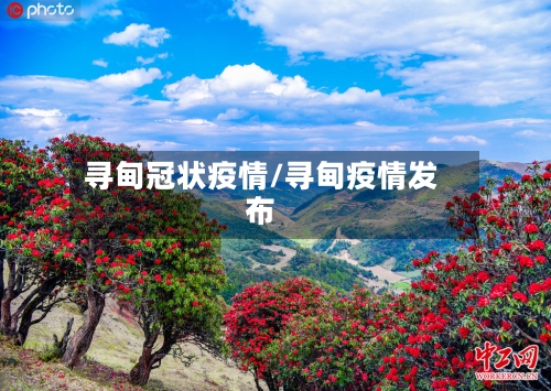 寻甸冠状疫情/寻甸疫情发布-第3张图片