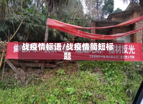 战疫情标语/战疫情简短标题-第2张图片