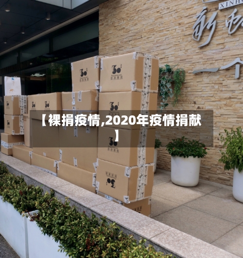 【裸捐疫情,2020年疫情捐献】-第1张图片