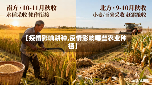 【疫情影响耕种,疫情影响哪些农业种植】-第1张图片