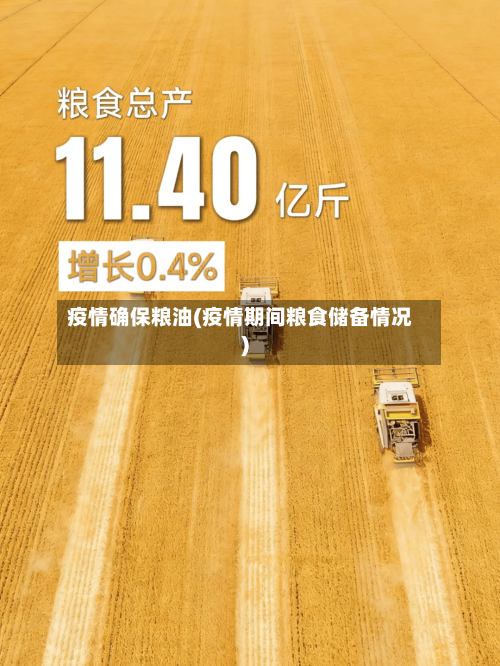 疫情确保粮油(疫情期间粮食储备情况)-第2张图片