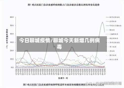 今日聊城疫情/聊城今天新增几例病毒-第1张图片