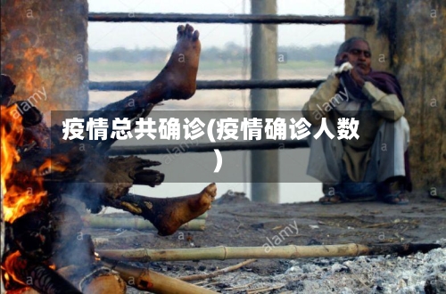 疫情总共确诊(疫情确诊人数)-第2张图片