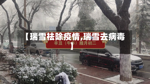 【瑞雪祛除疫情,瑞雪去病毒】-第2张图片