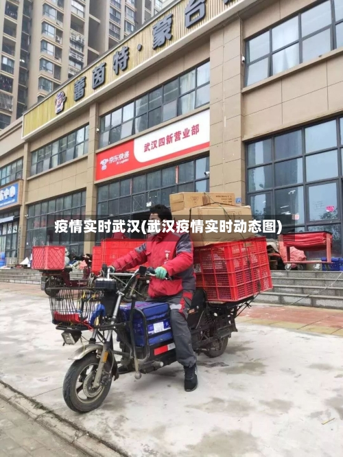 疫情实时武汉(武汉疫情实时动态图)-第3张图片