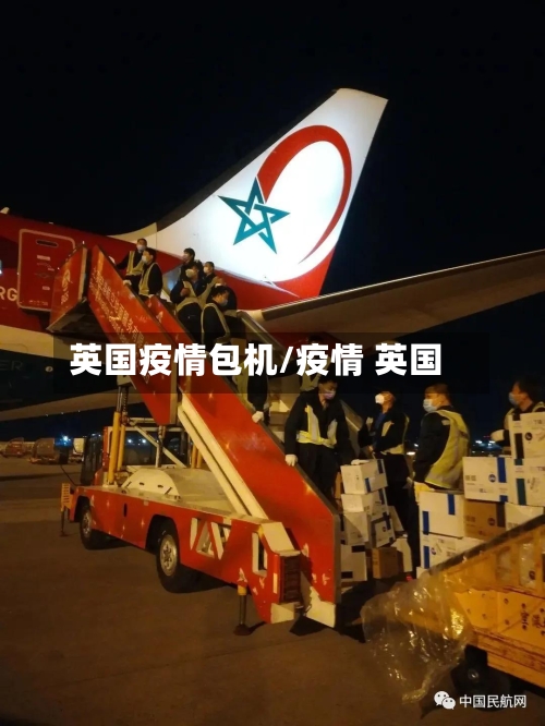 英国疫情包机/疫情 英国-第2张图片