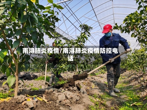 南浔肺炎疫情/南浔肺炎疫情防控电话-第2张图片