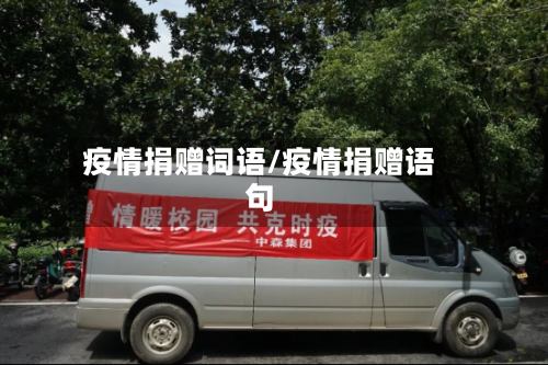 疫情捐赠词语/疫情捐赠语句-第3张图片